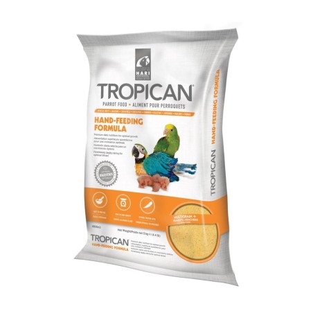Hari Tropican Hand Feeding - Pappa da Imbecco