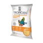 Hari Tropican Hand Feeding - Pappa da Imbecco