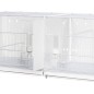 Gabbia cova 120 Cortina