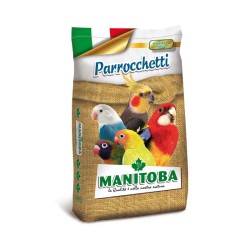 Parrocchetto Manitoba