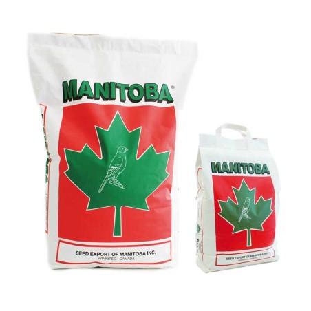Canarino T3 Platino Manitoba - Miscela semi per canarini con perilla