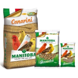 Canarino T1 Bisquit Manitoba - Miscela semi con biscotto per canarini