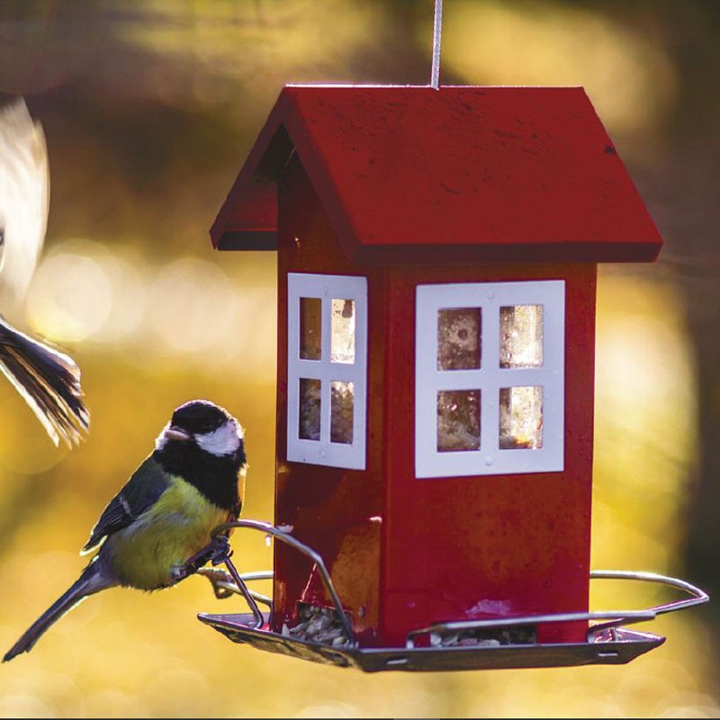 Mangiatoia per uccelli selvatici a forma di casa