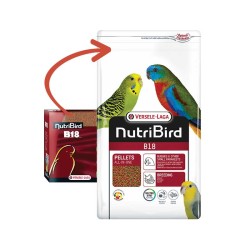 Estruso Nutribird B18 per piccoli pappagalli