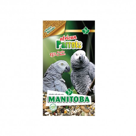 African Parrots Manitoba