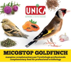 Micostop GoldFinch - Anti Micotico e Anti Batterico