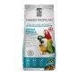 Hari Tropican Lifetime Sticks - Grandi Pappagalli