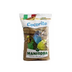 Cocorite Bisquit Manitoba