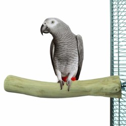 posatoio in legno per pappagalli misura Large