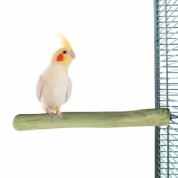 posatoio in legno per pappagalli misura Medium