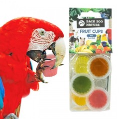 pappagallo che mangia le Cups ai frutti misti