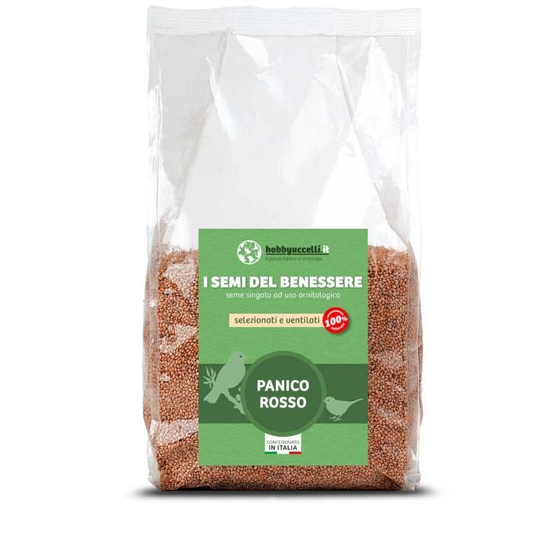 Semi di Panico Rosso