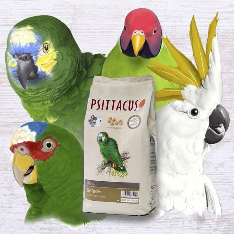 Mangime Per Pappagalli Alta Proteina - 800 G, Alimento Estruso Per Ara, Cenerini E Pappagalli Africani