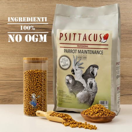 Parrot Mantenimento