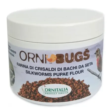 Farina di crisalidi bachi da seta