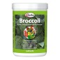 Quiko Broccoli Quiko Broccoli