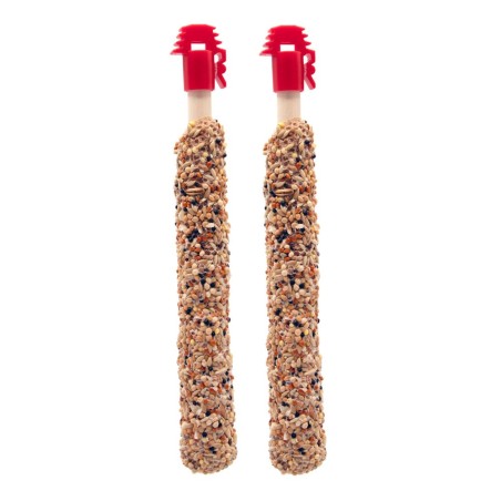 Sticks Parrocchetti con noci e uvetta