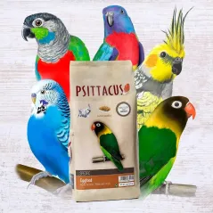 Psittacus Egg Food Secco