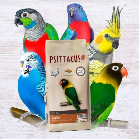 Psittacus Egg Food Secco