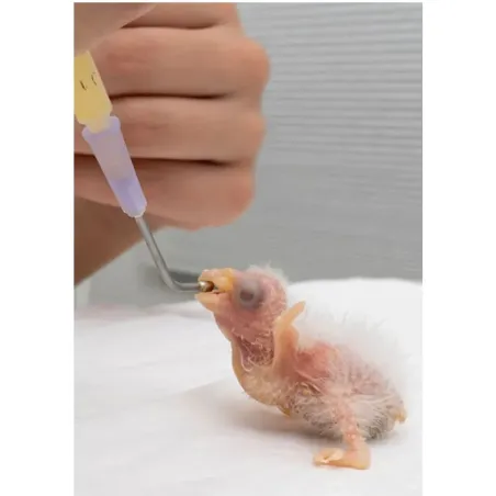 Psittacus Crop Milk