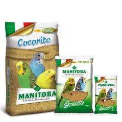 Cocorite Bisquit Manitoba
