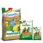 Cocorite Bisquit Manitoba