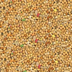Cocorite Bisquit Manitoba