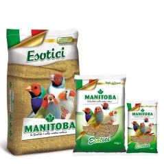 Esotico Manitoba