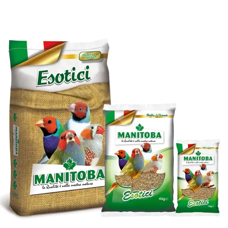 Esotico Manitoba Esotico Manitoba