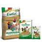 Esotico Manitoba Esotico Manitoba
