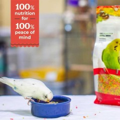 ZuPreem Fruit Small Bird per piccoli pappagalli