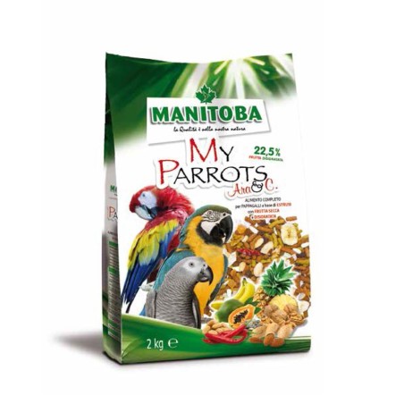 My Parrots Ara - Manitoba