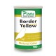 Border Yellow
