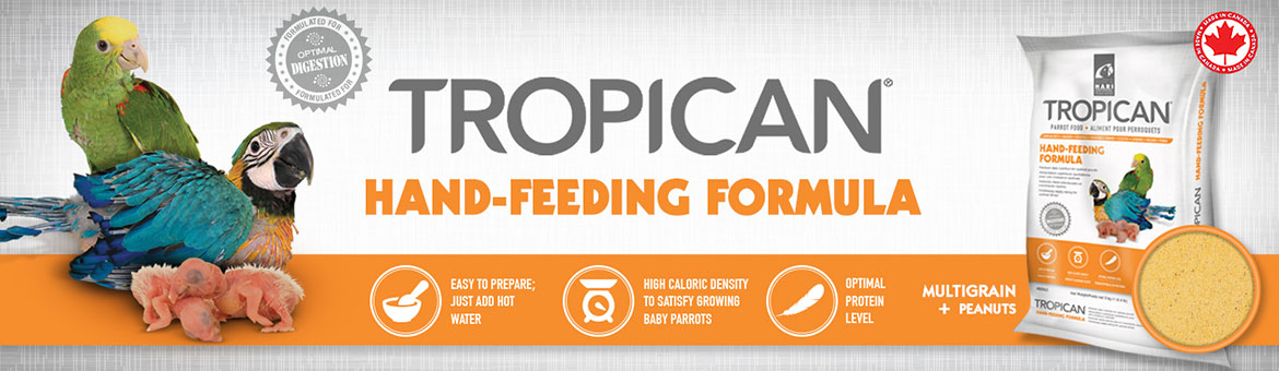 Pappa da imbecco per pappagalli Hari Tripican Hand Feeding