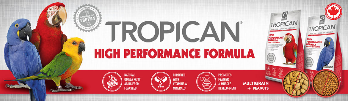 Estrusi Hari Tropican Hight Performance