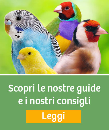 Guide Uccelli Domestici